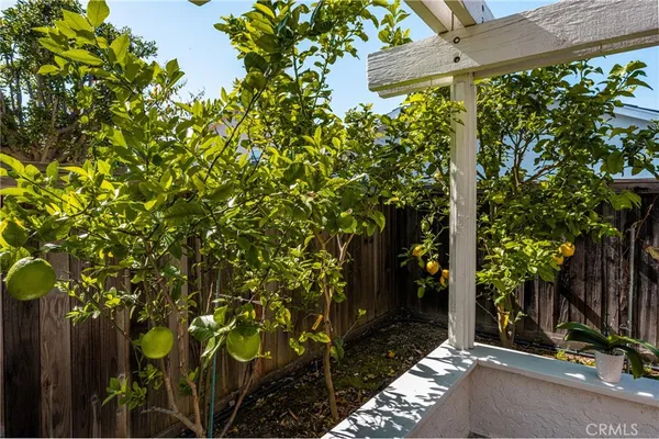 a view of a house with a tree