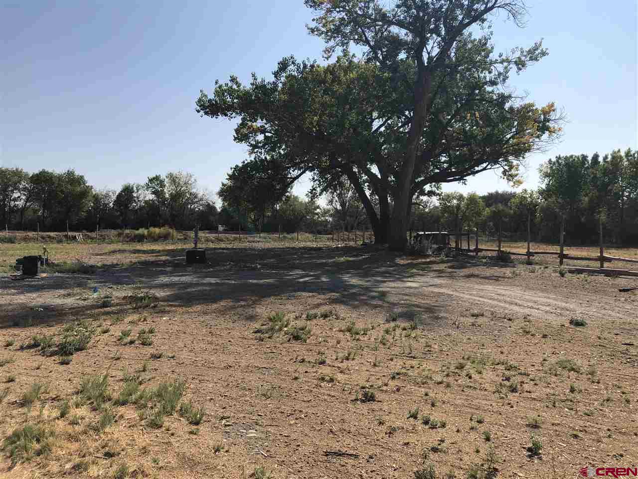 6048 Graff Road Delta, CO 81416 - Photo 13 of 22