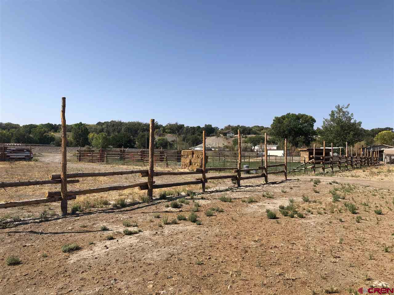 6048 Graff Road Delta, CO 81416 - Photo 4 of 22