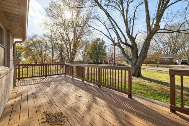 a view of yard with tree