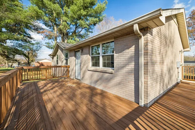 a view of backyard with large trees and wooden fence