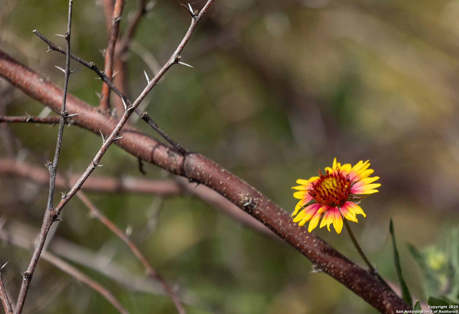 83 North U.S. Highway 83 Leakey, TX 78873 - Photo 18 of 18 a view of a lake