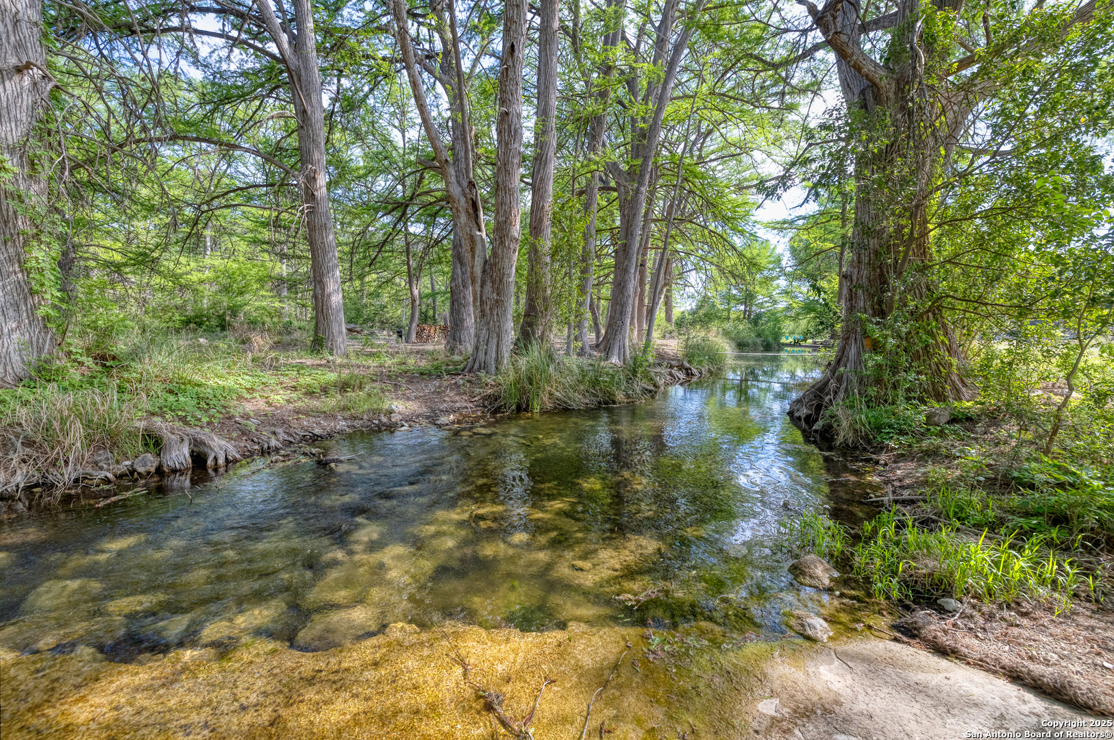 83 North U.S. Highway 83 Leakey, TX 78873 - Photo 4 of 18 a view of a forest with trees