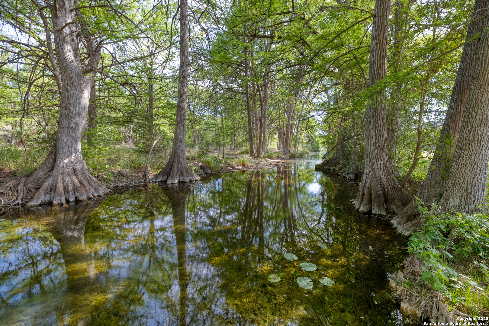 83 North U.S. Highway 83 Leakey, TX 78873 - Photo 5 of 18 a view of outdoor space and trees