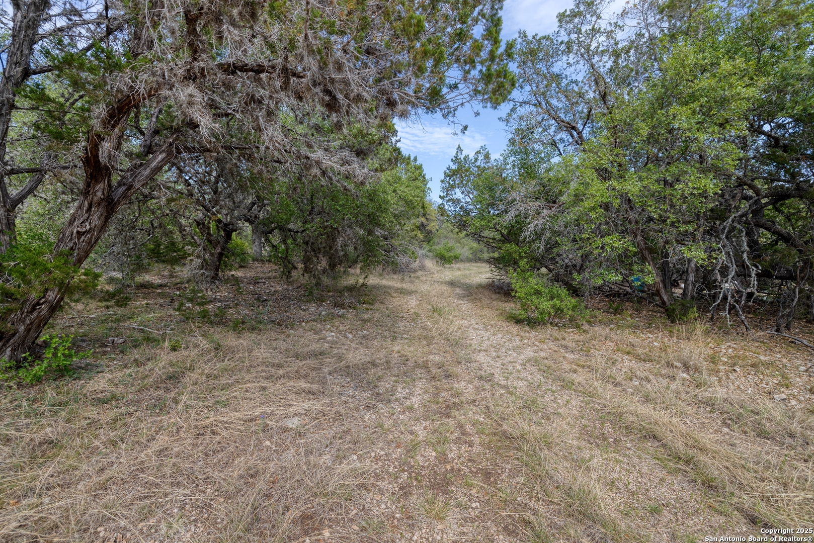83 North U.S. Highway 83 Leakey, TX 78873 - Photo 7 of 18 a view of a yard with a tree