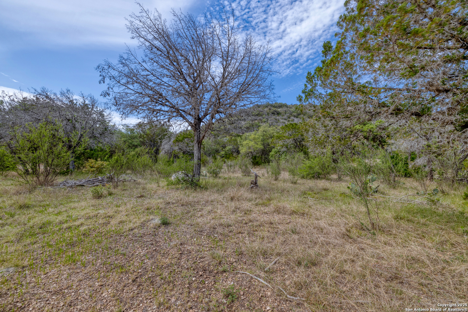 83 North U.S. Highway 83 Leakey, TX 78873 - Photo 8 of 18 a view of a forest with trees in the background