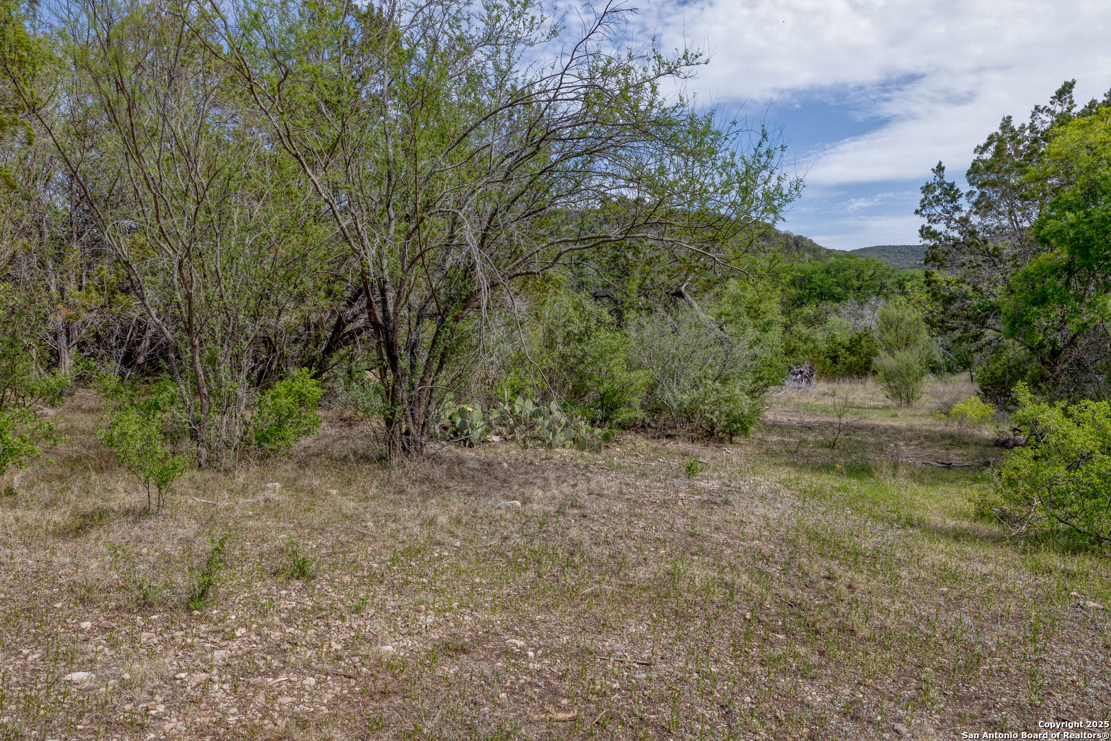 83 North U.S. Highway 83 Leakey, TX 78873 - Photo 10 of 18 a view of a forest with trees in the background