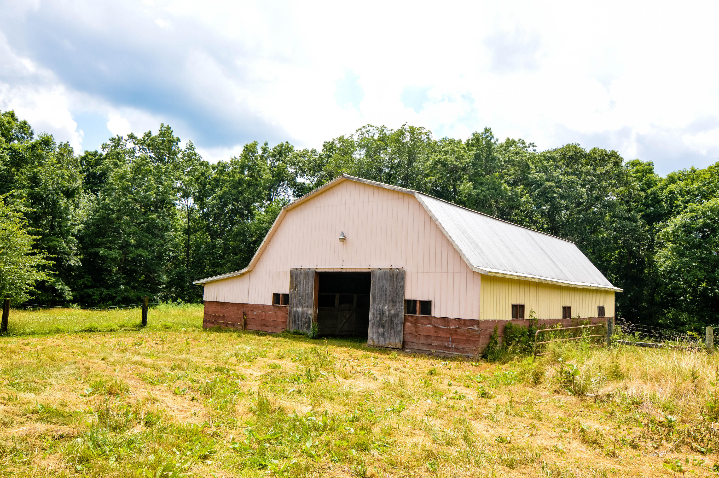 164 Ett Brown Road Deer Lodge, TN 37726 - Photo 11 of 40 DSC_0503