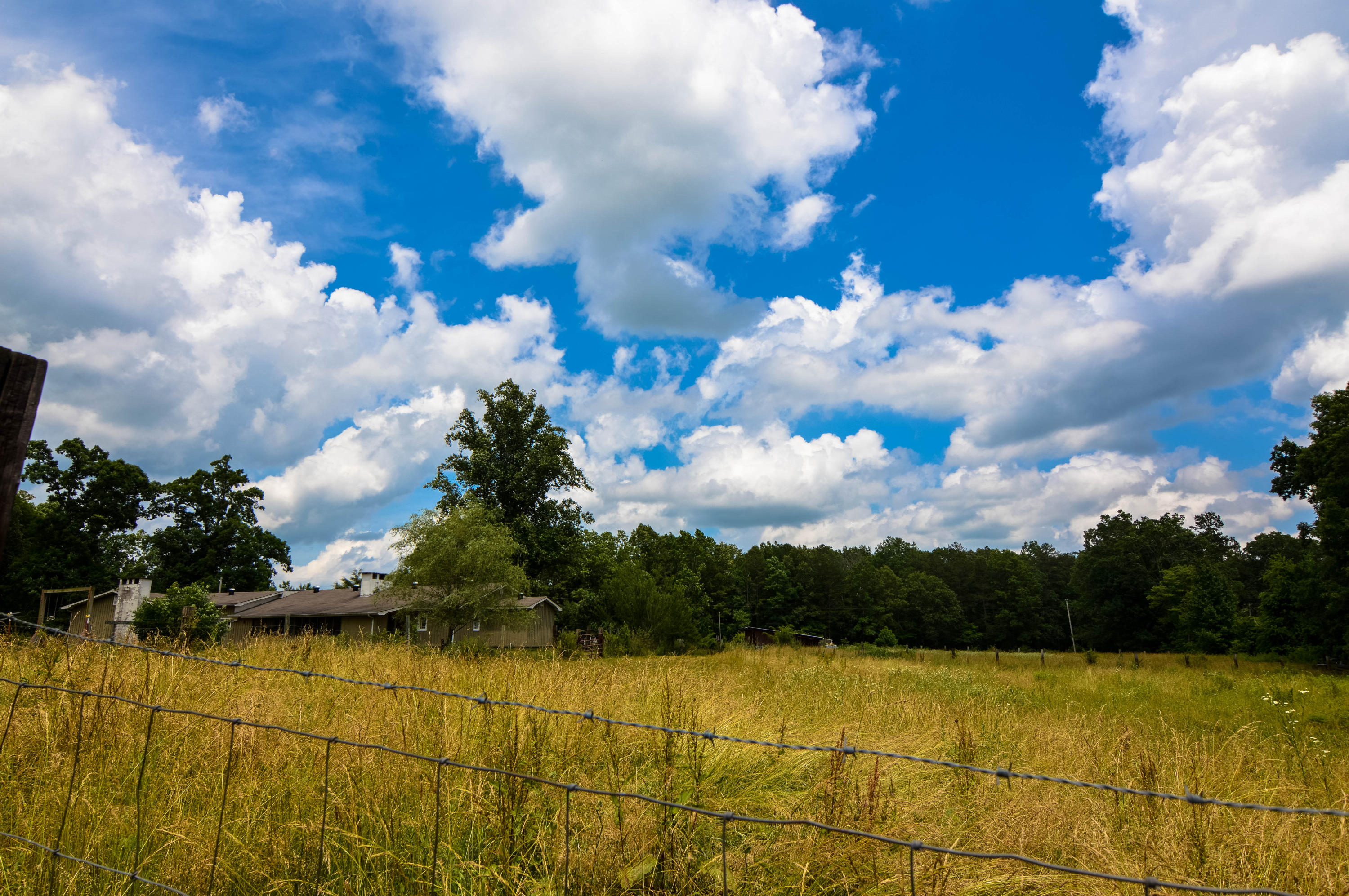 164 Ett Brown Road Deer Lodge, TN 37726 - Photo 12 of 40 DSC_0524