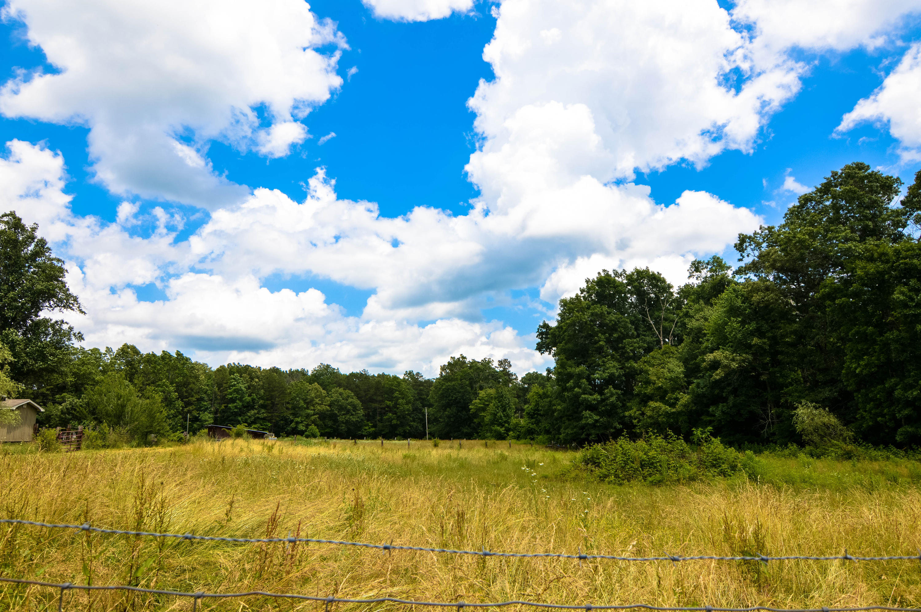 164 Ett Brown Road Deer Lodge, TN 37726 - Photo 13 of 40 DSC_0525
