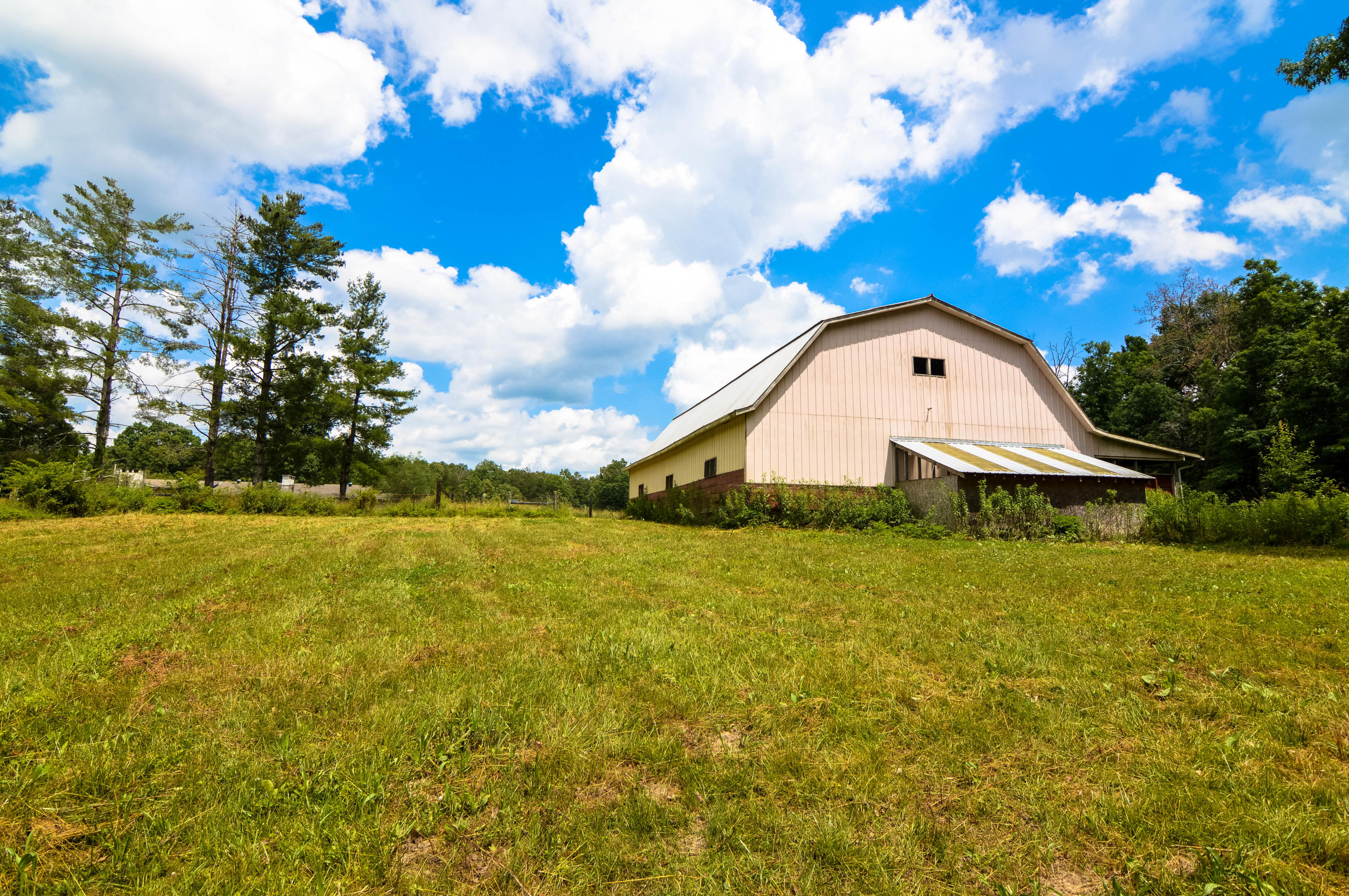 164 Ett Brown Road Deer Lodge, TN 37726 - Photo 14 of 40 DSC_0528