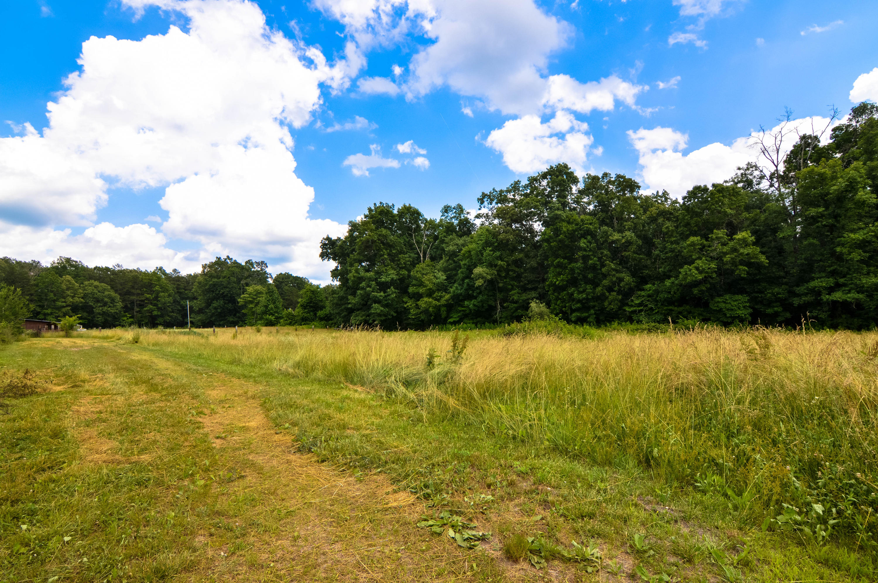 164 Ett Brown Road Deer Lodge, TN 37726 - Photo 15 of 40 DSC_0537