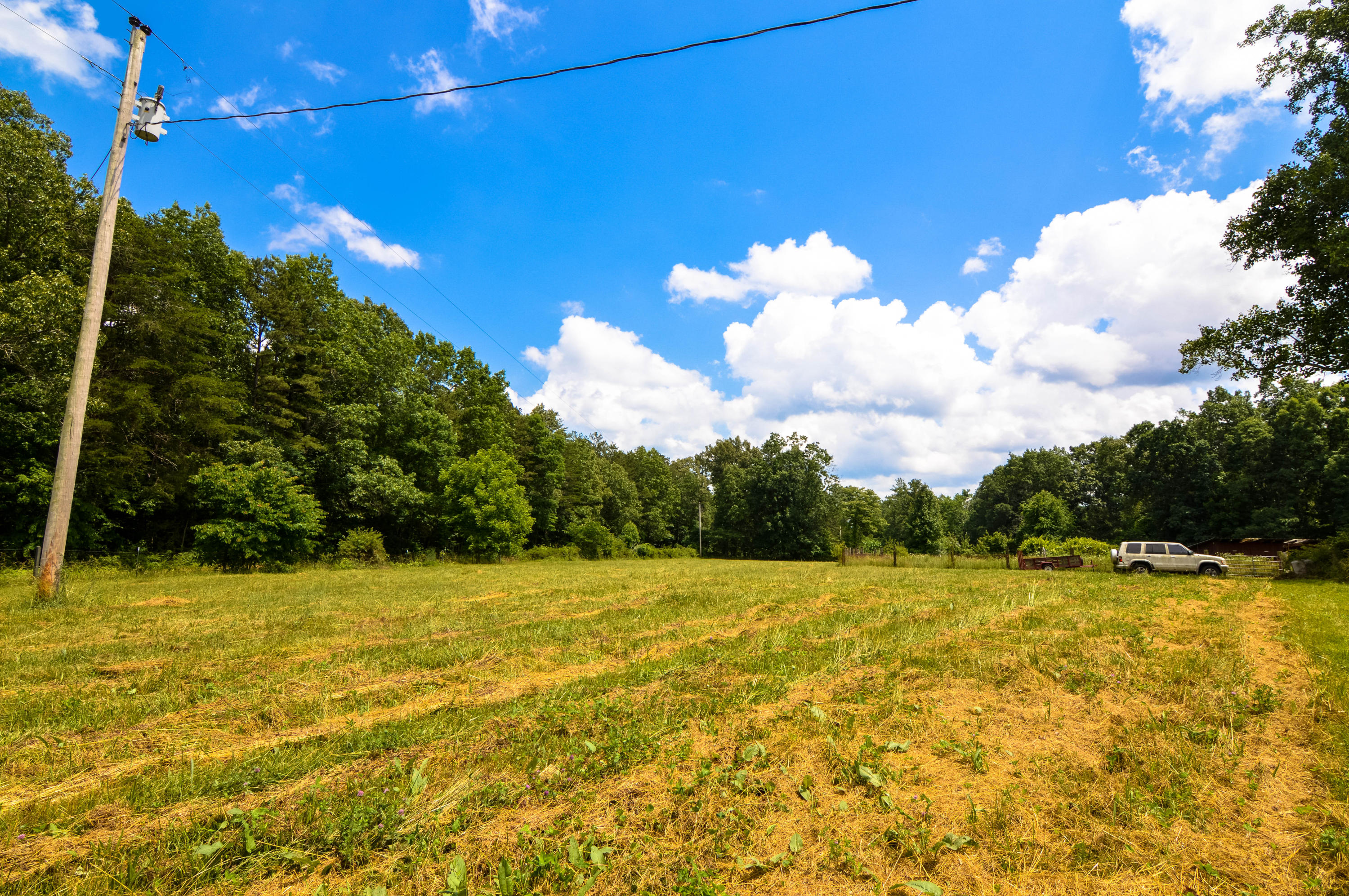 164 Ett Brown Road Deer Lodge, TN 37726 - Photo 17 of 40 DSC_0555