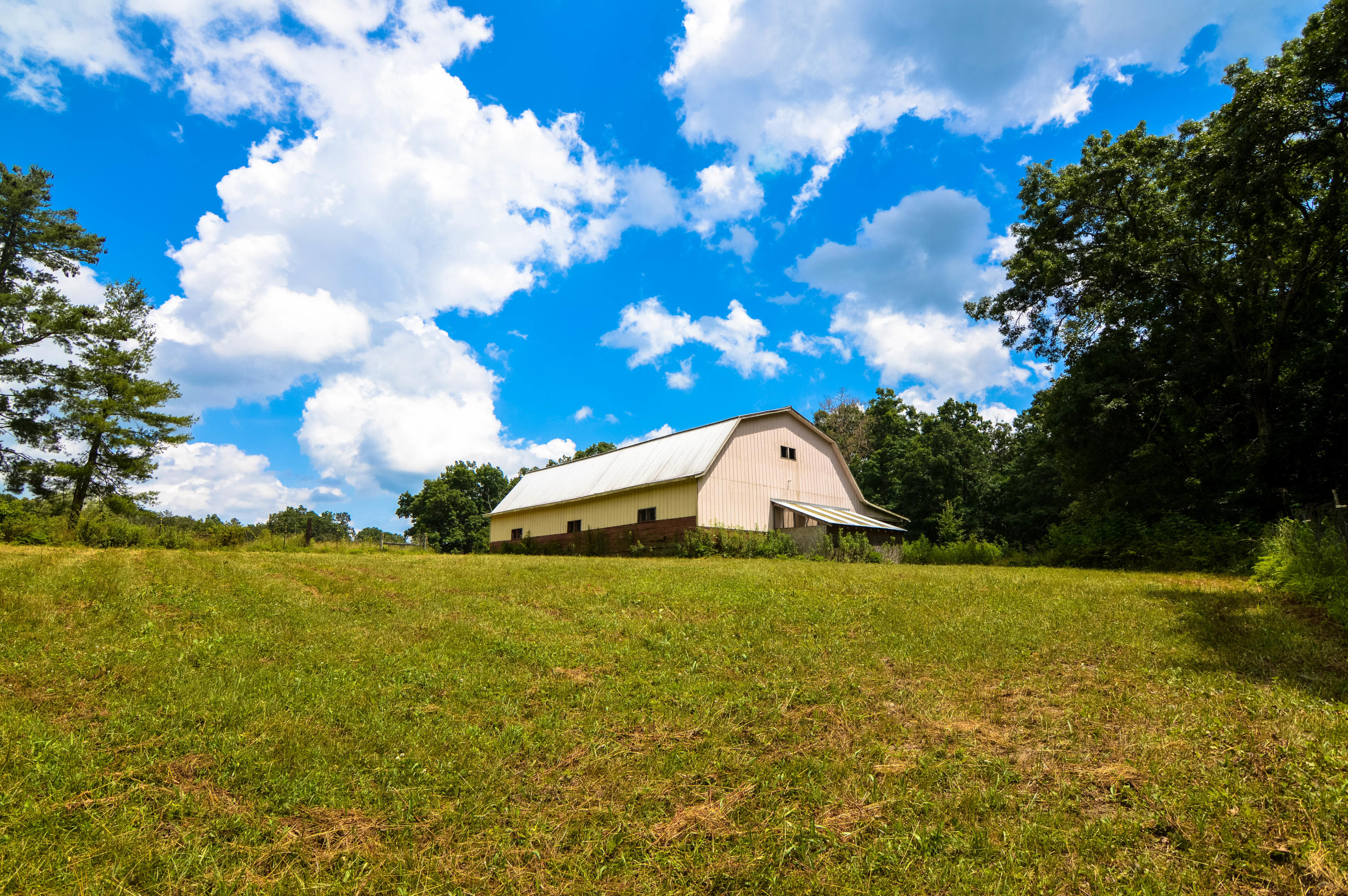 164 Ett Brown Road Deer Lodge, TN 37726 - Photo 3 of 40 DSC_0532