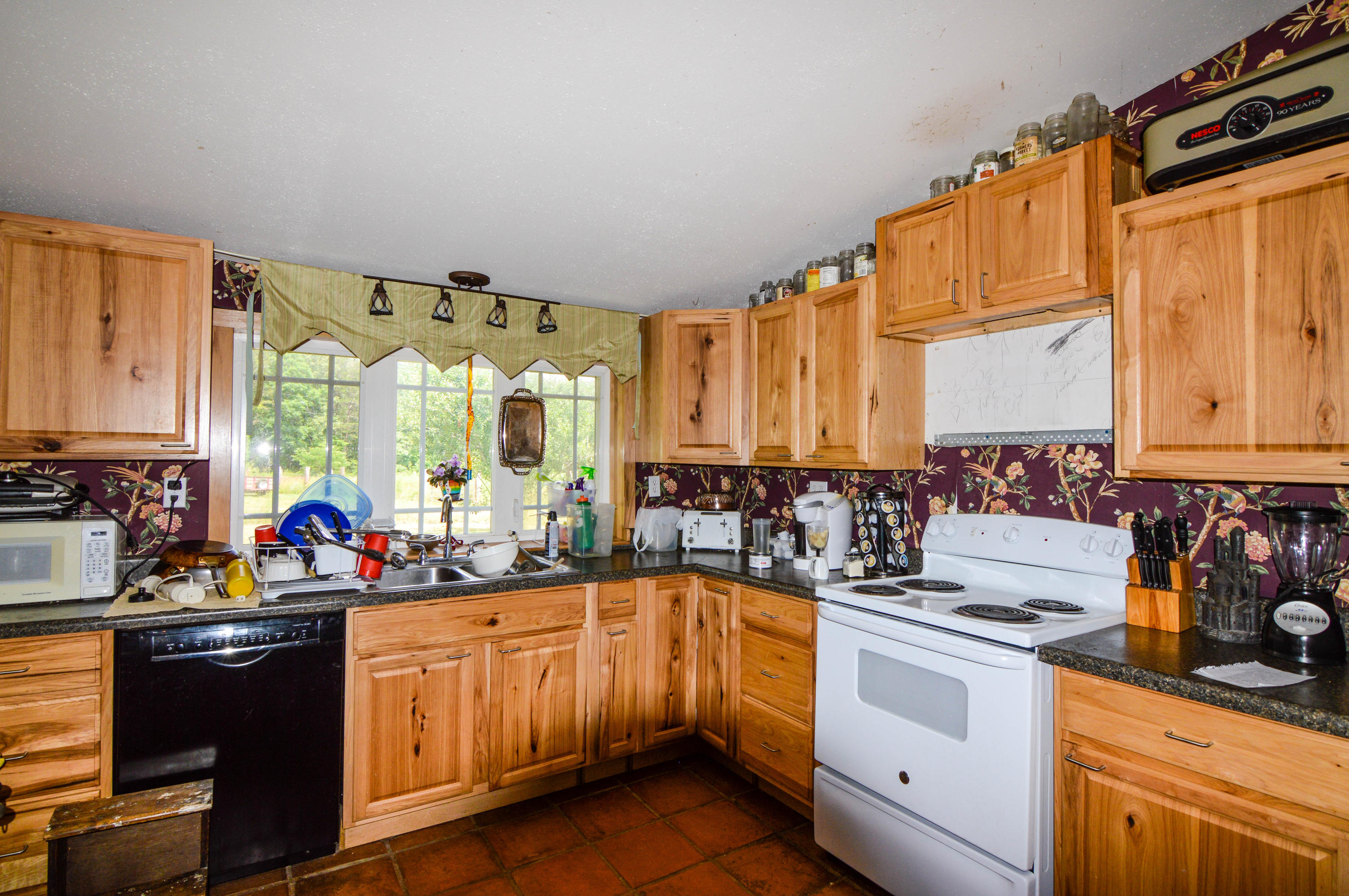 164 Ett Brown Road Deer Lodge, TN 37726 - Photo 34 of 40 DSC_0598