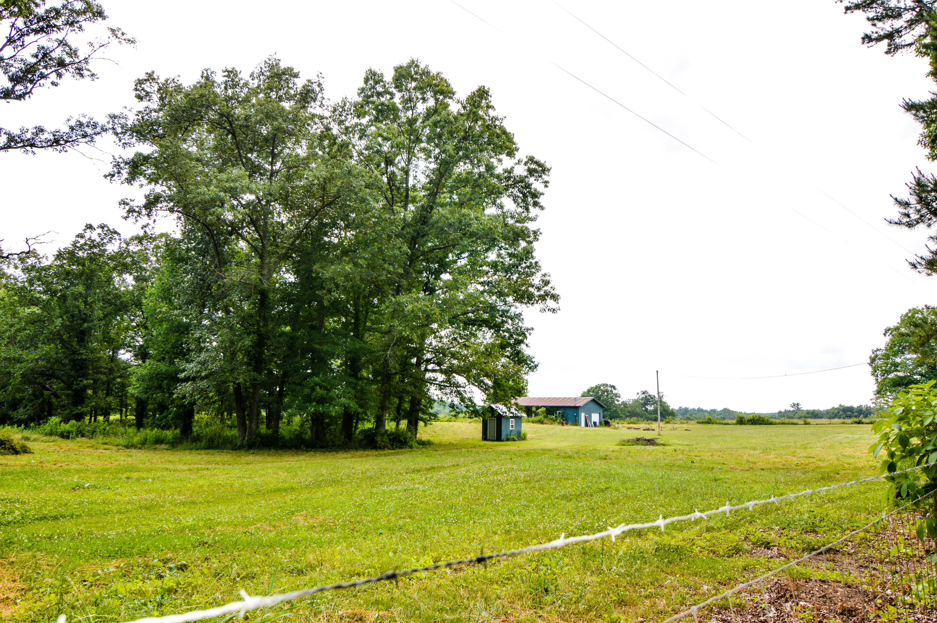 164 Ett Brown Road Deer Lodge, TN 37726 - Photo 36 of 40 DSC_0607
