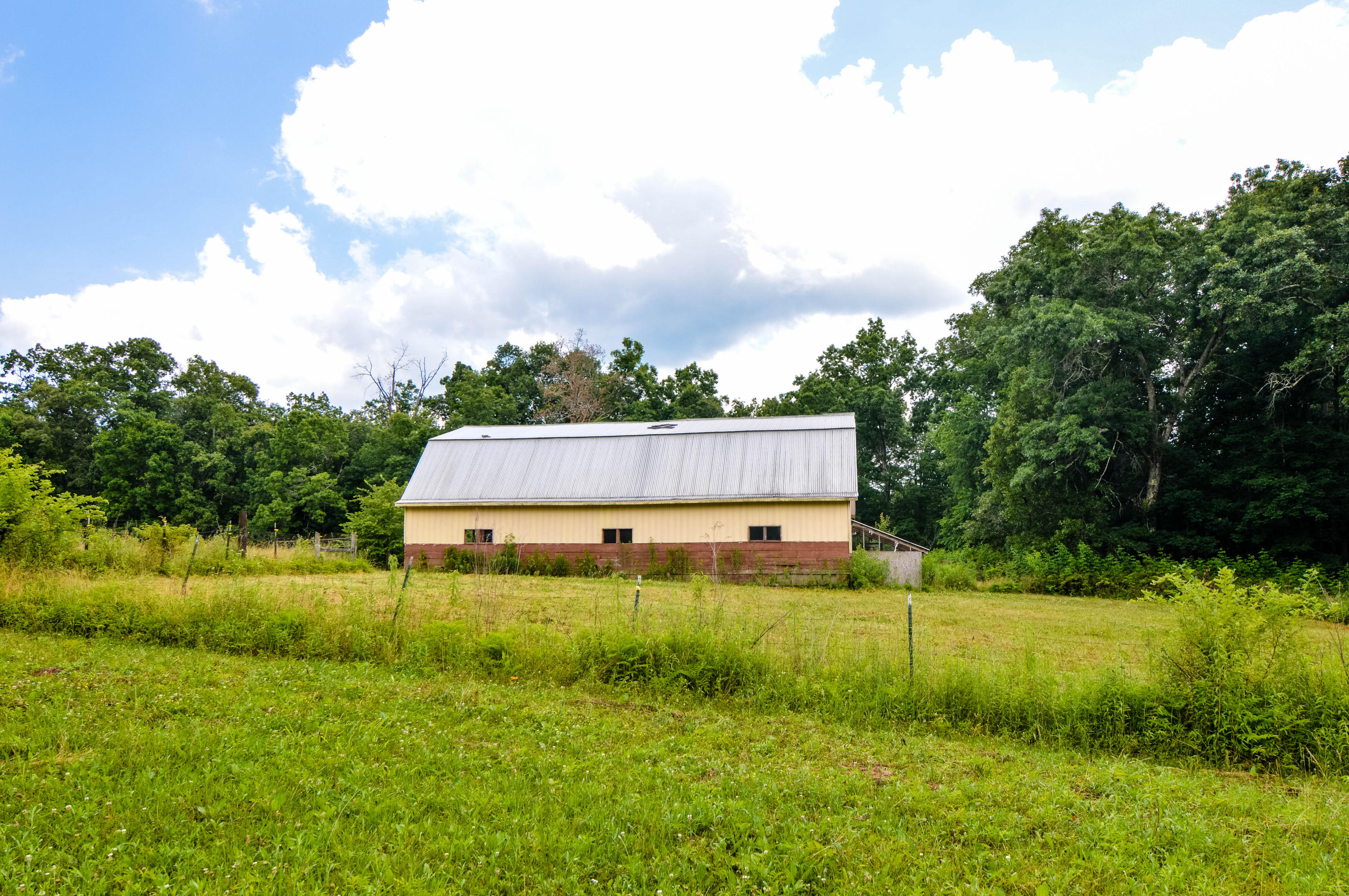 164 Ett Brown Road Deer Lodge, TN 37726 - Photo 38 of 40 DSC_0492
