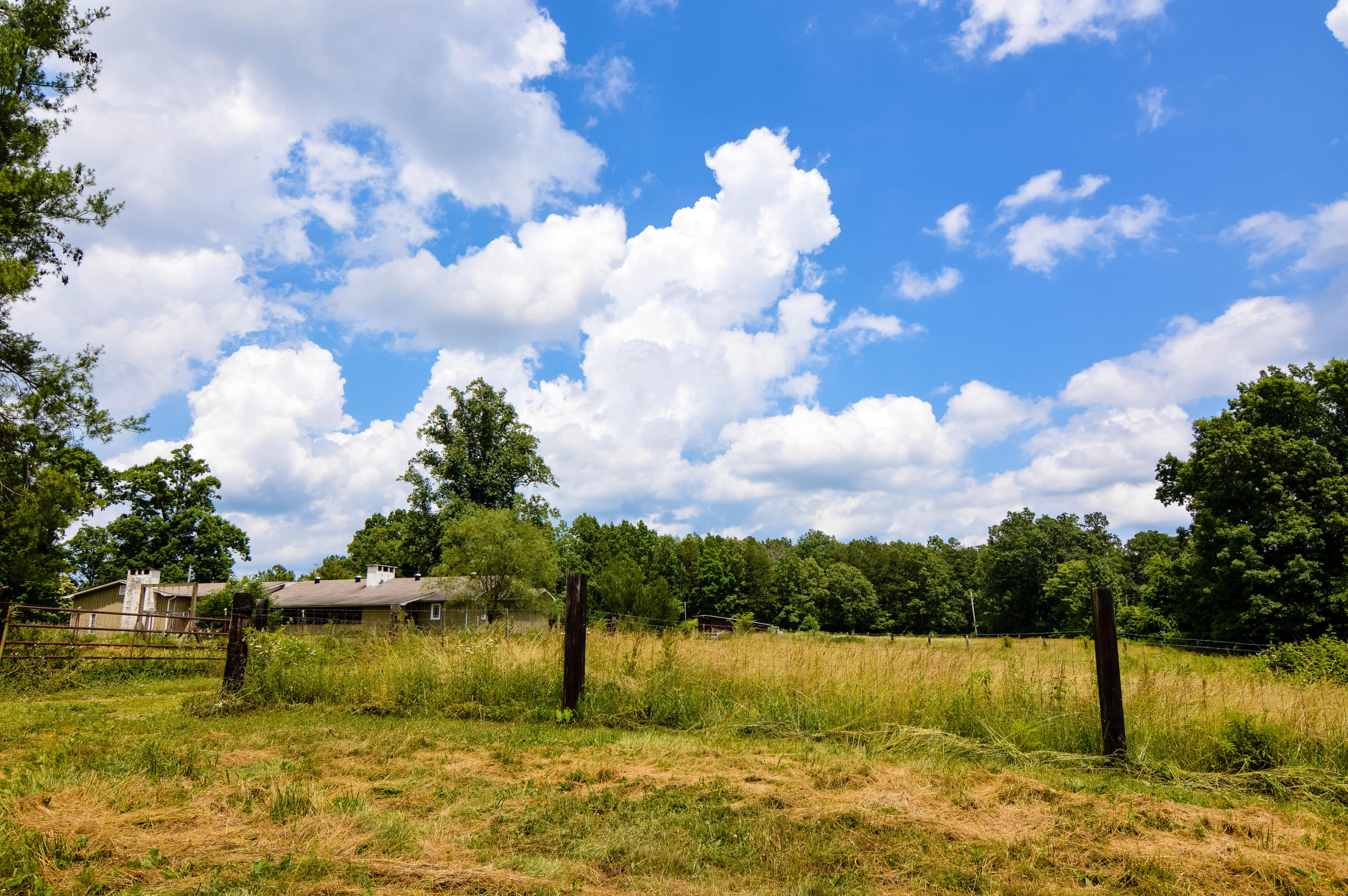 164 Ett Brown Road Deer Lodge, TN 37726 - Photo 40 of 40 DSC_0508