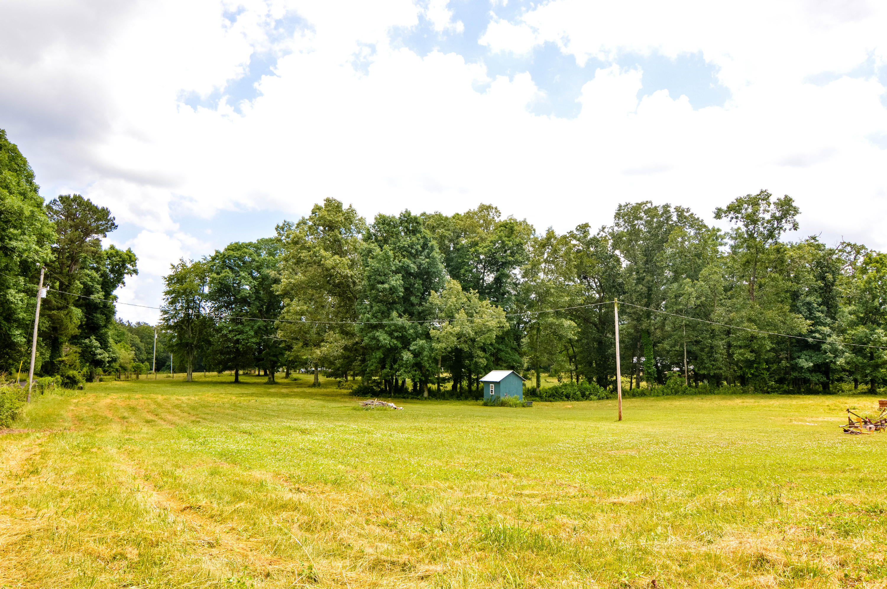 164 Ett Brown Road Deer Lodge, TN 37726 - Photo 8 of 40 DSC_0469
