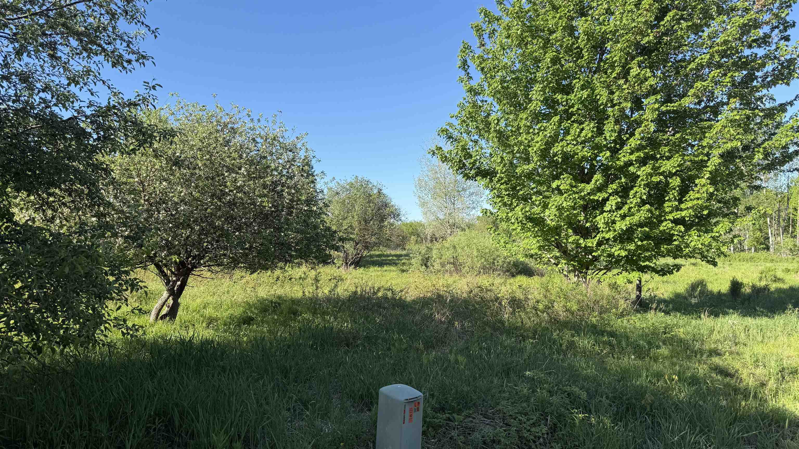 Lot 3 Eau Claire River Road Ringle, WI 54471 - Photo 18 of 28