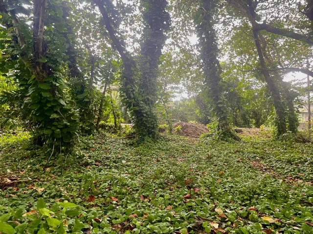a view of an ocean beach