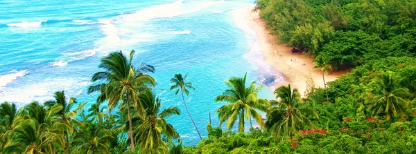 $875,000 | 5-7235 Lot 121-b1 Kuhio Highway, Hanalei, HI 96714