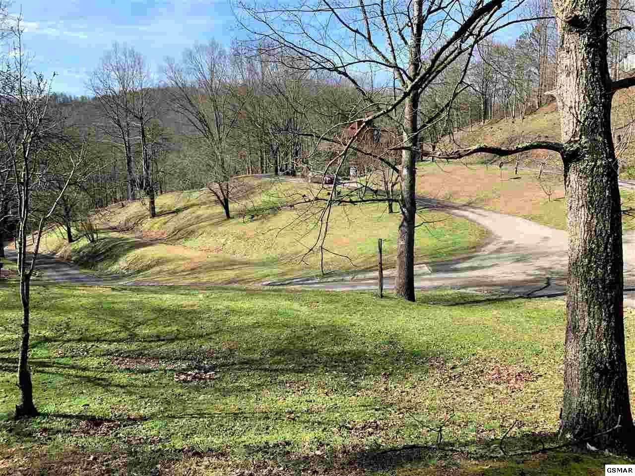 933 Caney Creek Road Sevierville, TN 37863 - Photo 25 of 36