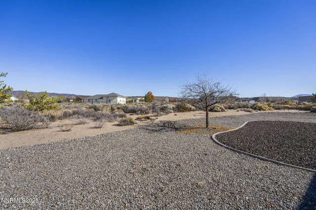 a view of a dry yard with trees