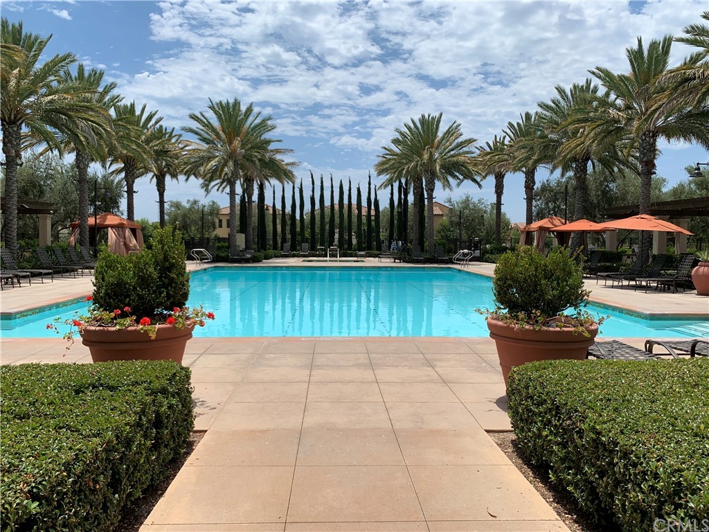 105 Annuals Irvine, CA 92618 - Photo 2 of 6 Jr Olympic size pool