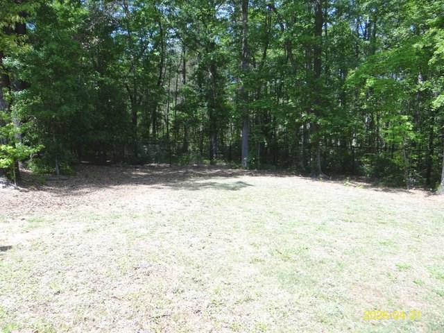 13733 Macon Road Upatoi, GA 31829 - Photo 6 of 27