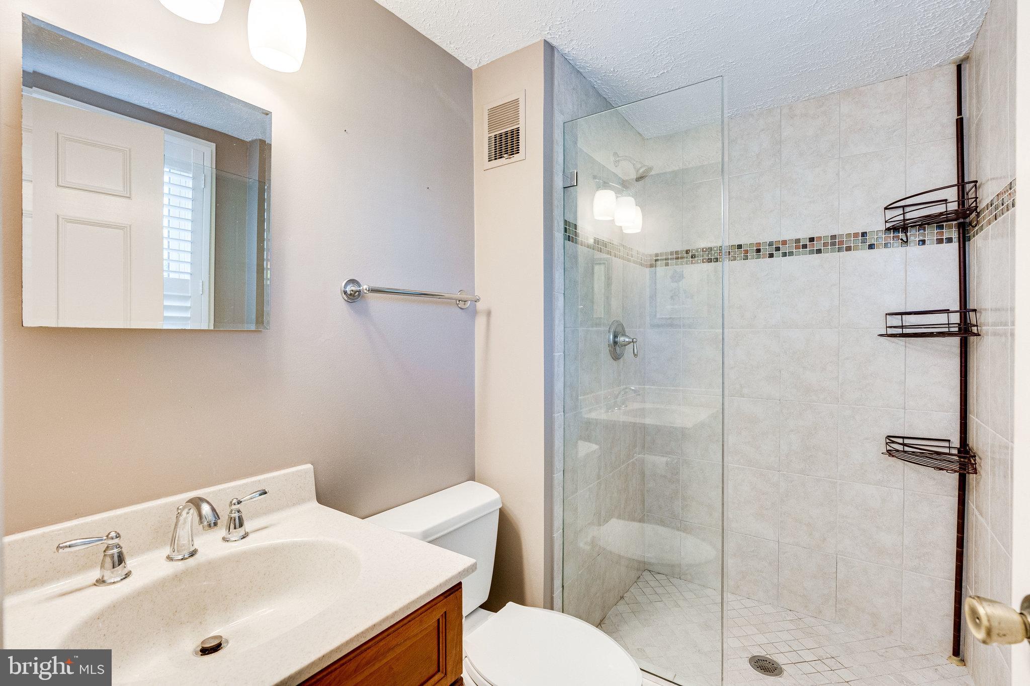 13620 Old Dairy Road Herndon, VA 20171 - Photo 27 of 60 Primary Bath