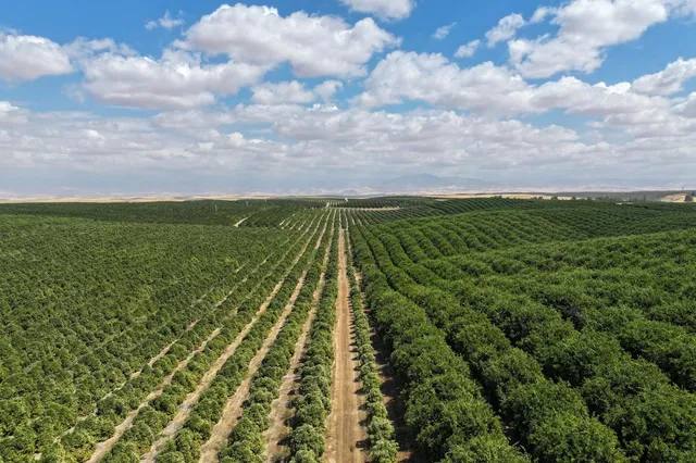 a view of a yard with an outdoor space