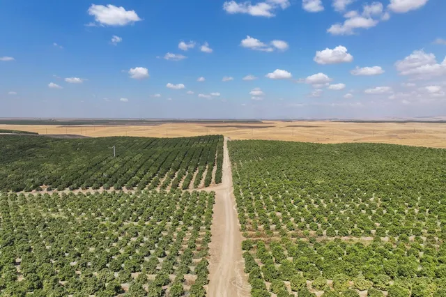 a view of a lake from a balcony
