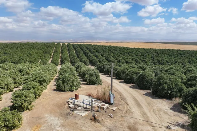 a view of a bench in a backyard