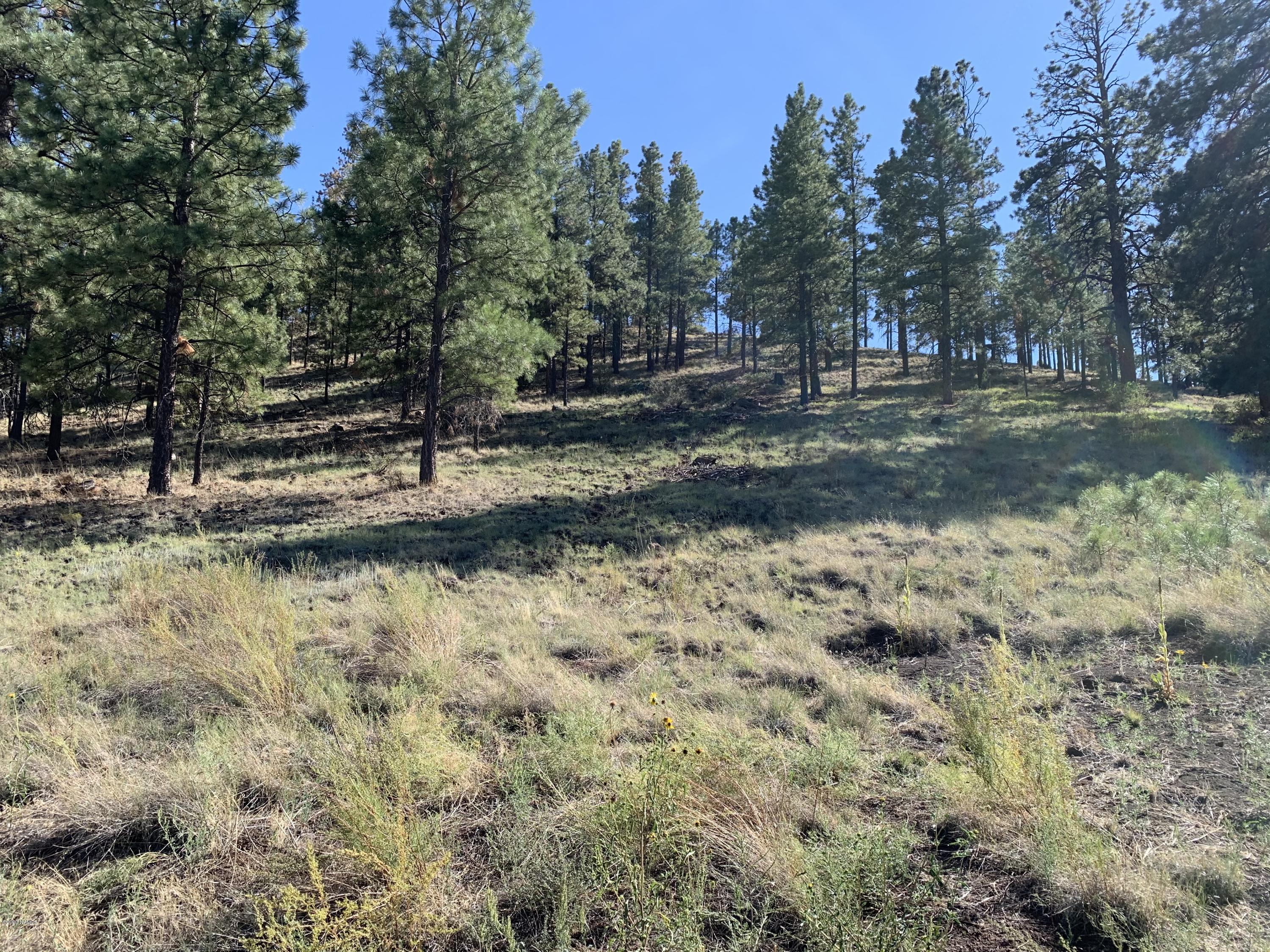 11668 North Rope Arabian Road, Unit 2 Flagstaff, AZ 86004 - Photo 5 of 11 a backyard of a house with lots of green space