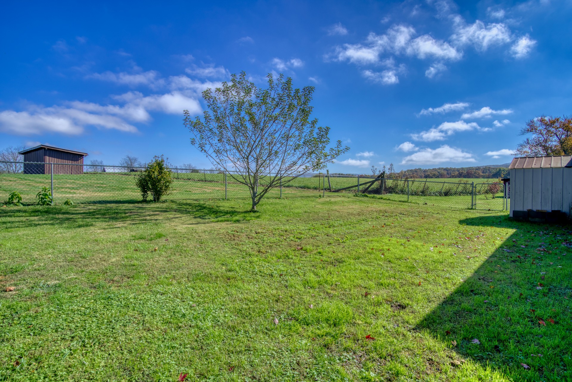 738 Pugh Road Crossville, TN 38555 - Photo 6 of 26 a view of a garden with a house