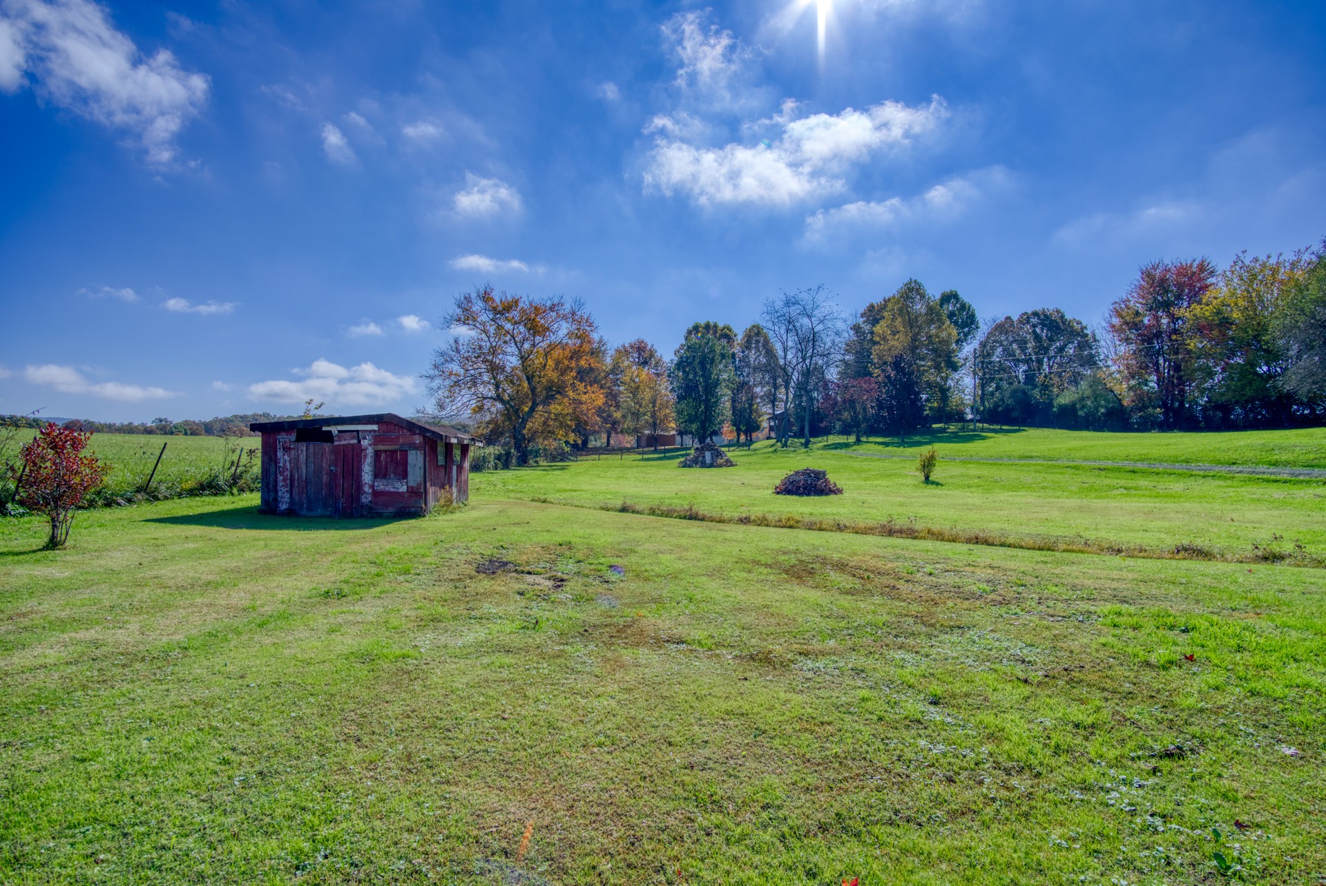 738 Pugh Road Crossville, TN 38555 - Photo 7 of 26 a big yard with lots of green space and plants