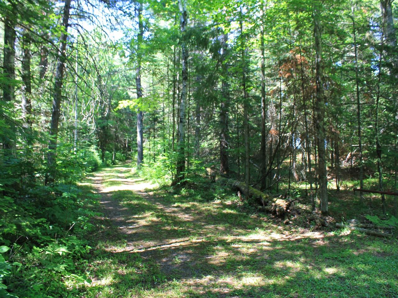 2892 Bisenius Road Park Falls, WI 54552 - Photo 31 of 39 Gallery Image 31