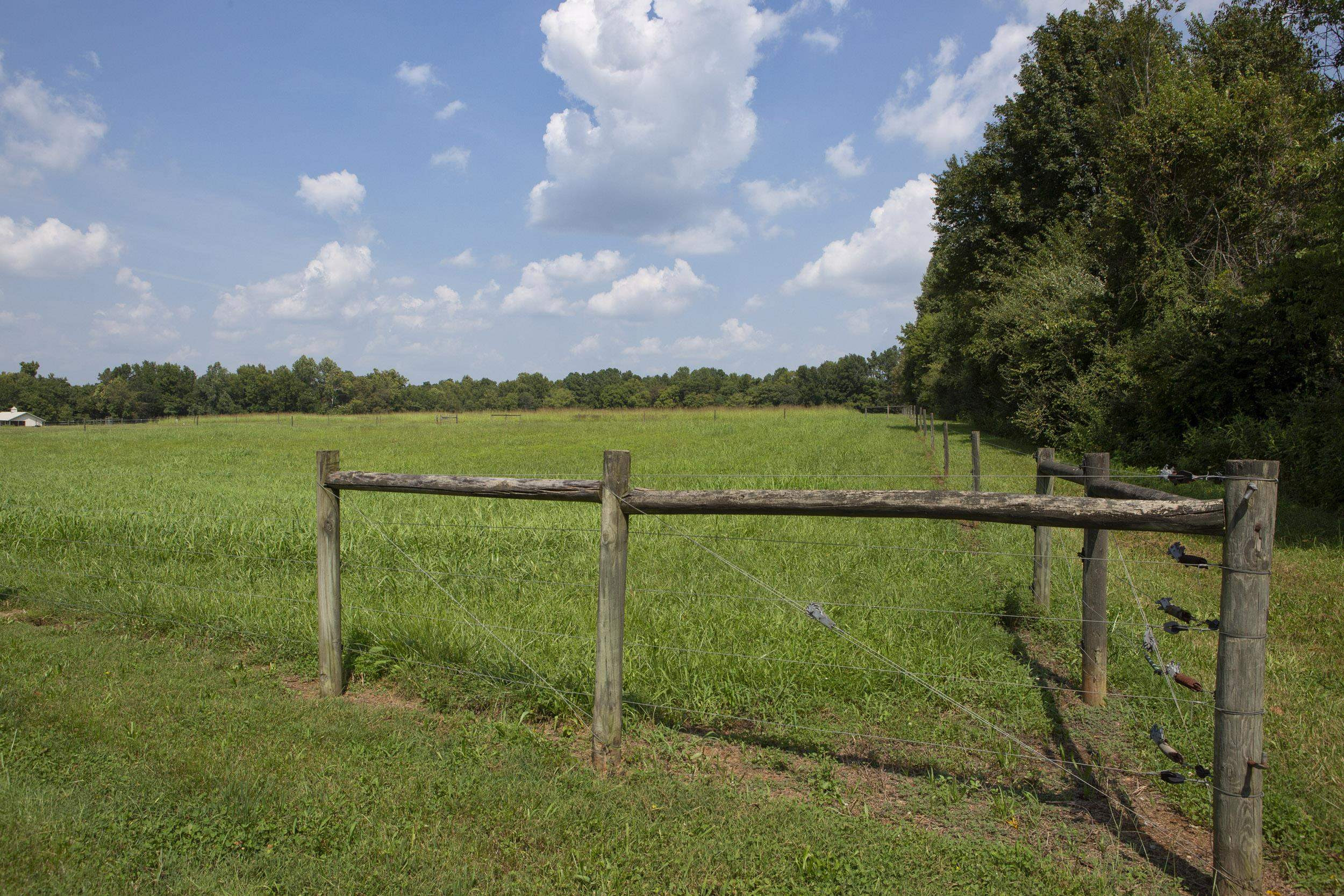 Lot 9 Ben Wilson Road Mebane, NC 27302 - Photo 2 of 2 Photo 2