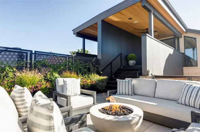 a view of a patio with couches and a potted plant on a table
