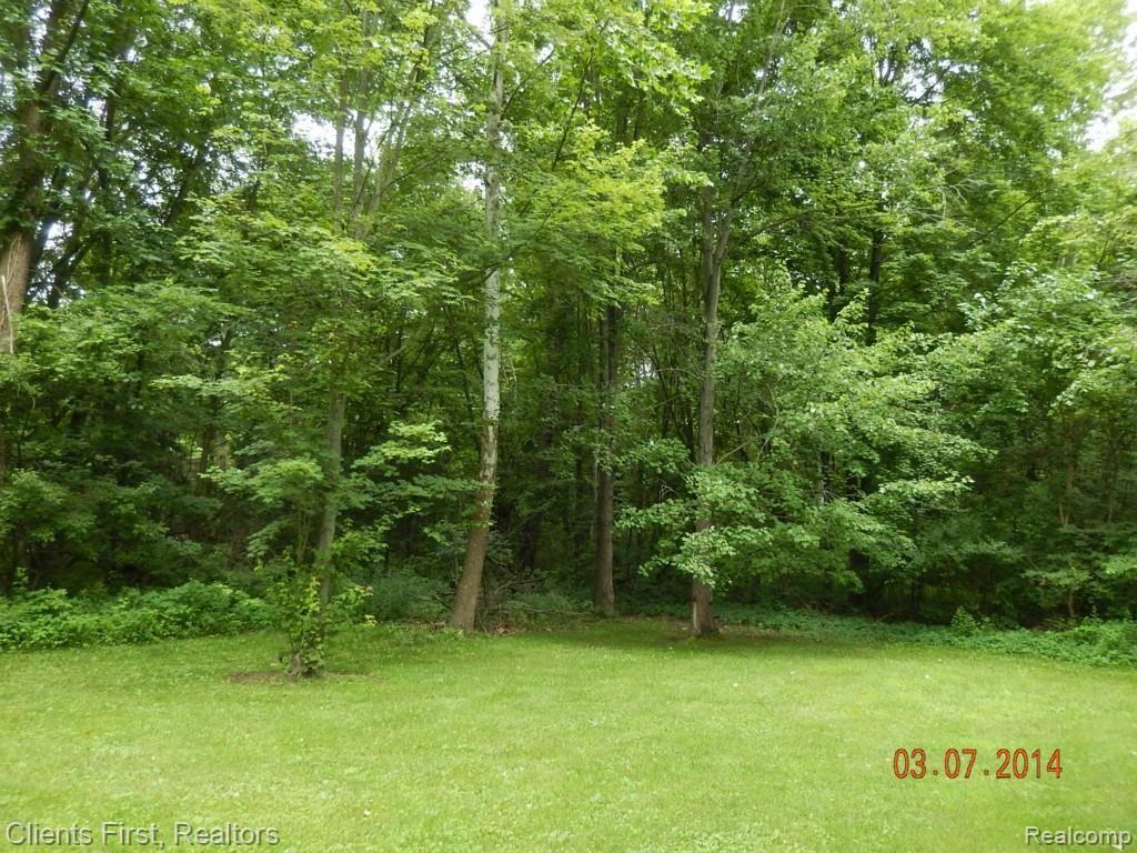 18781 Hannan Road New Boston, MI 48164 - Photo 12 of 48 DSCN3671.jpg