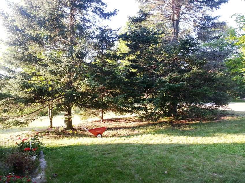 8676 Mockerman Road Southeast Fife Lake, MI 49633 - Photo 42 of 65 1821812-43.JPG