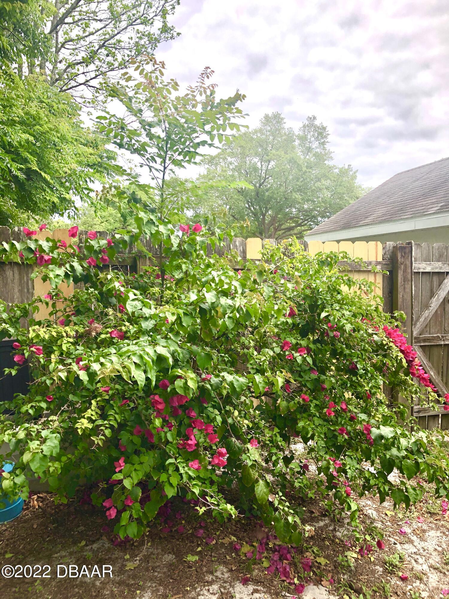 5919 Kendrew Drive Port Orange, FL 32127 - Photo 26 of 42 25