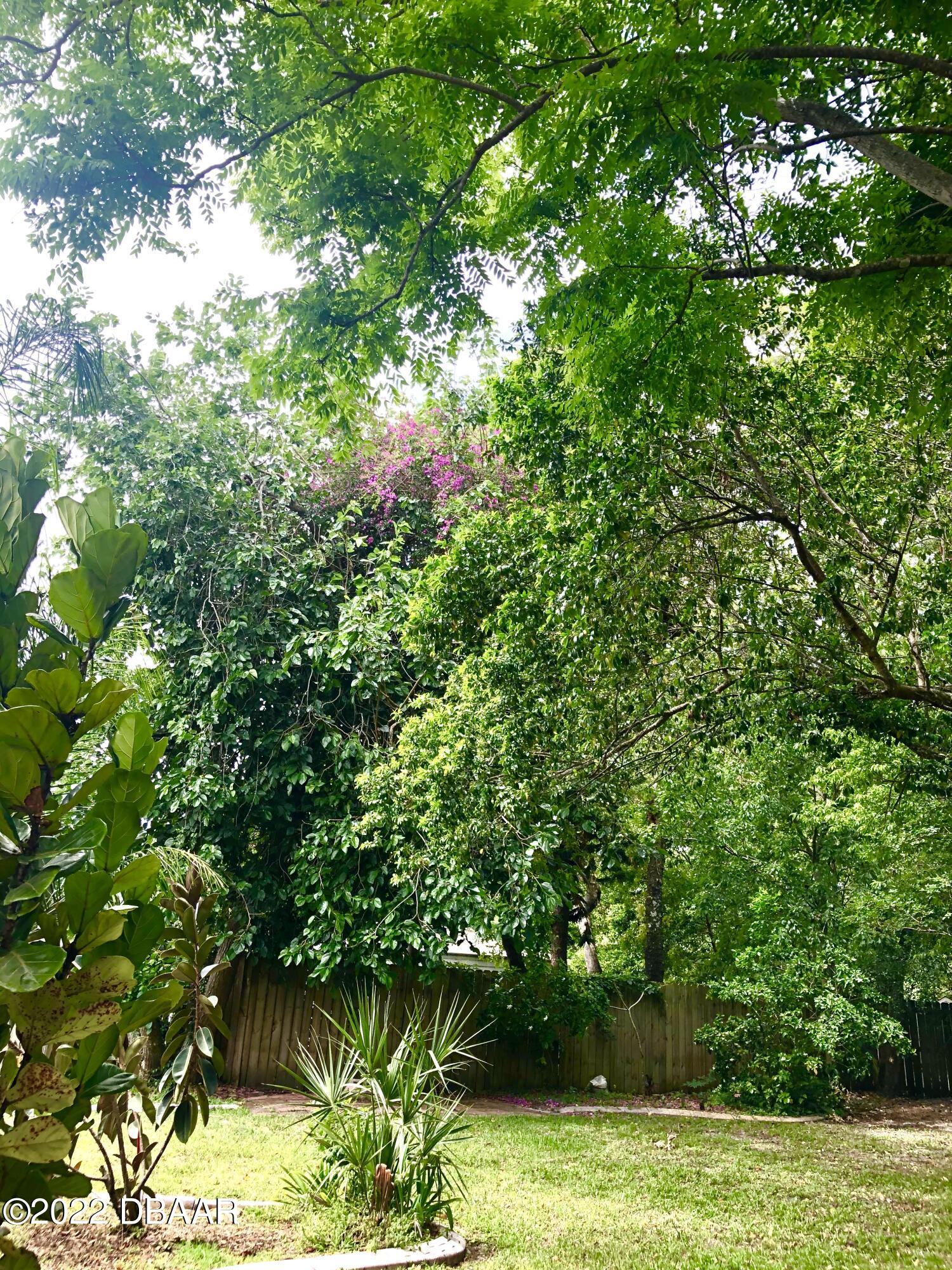 5919 Kendrew Drive Port Orange, FL 32127 - Photo 28 of 42 27