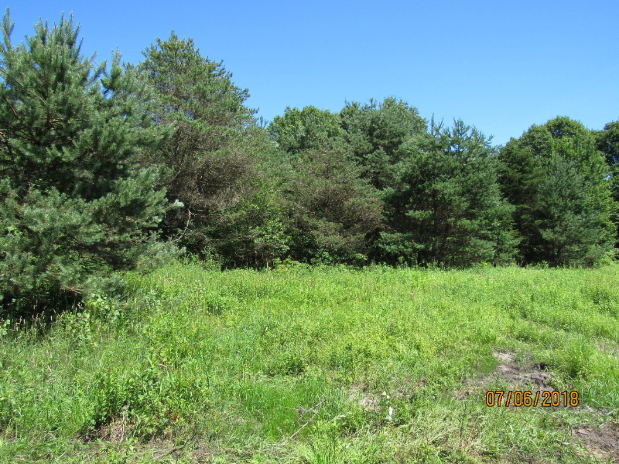 12985 California Road Sawyer, MI 49125 - Photo 5 of 7 IMG_5087