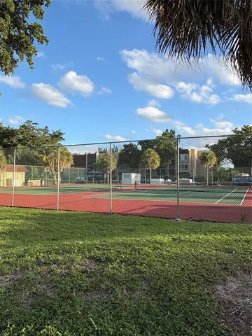 a view of large trees with a big yard