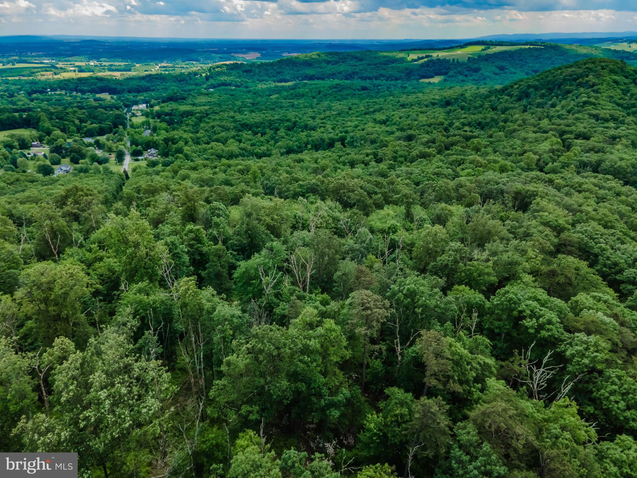 Lot 1 Whiskey Springs Road Boiling Springs, PA 17007 - Photo 11 of 21 Gallery Image 11