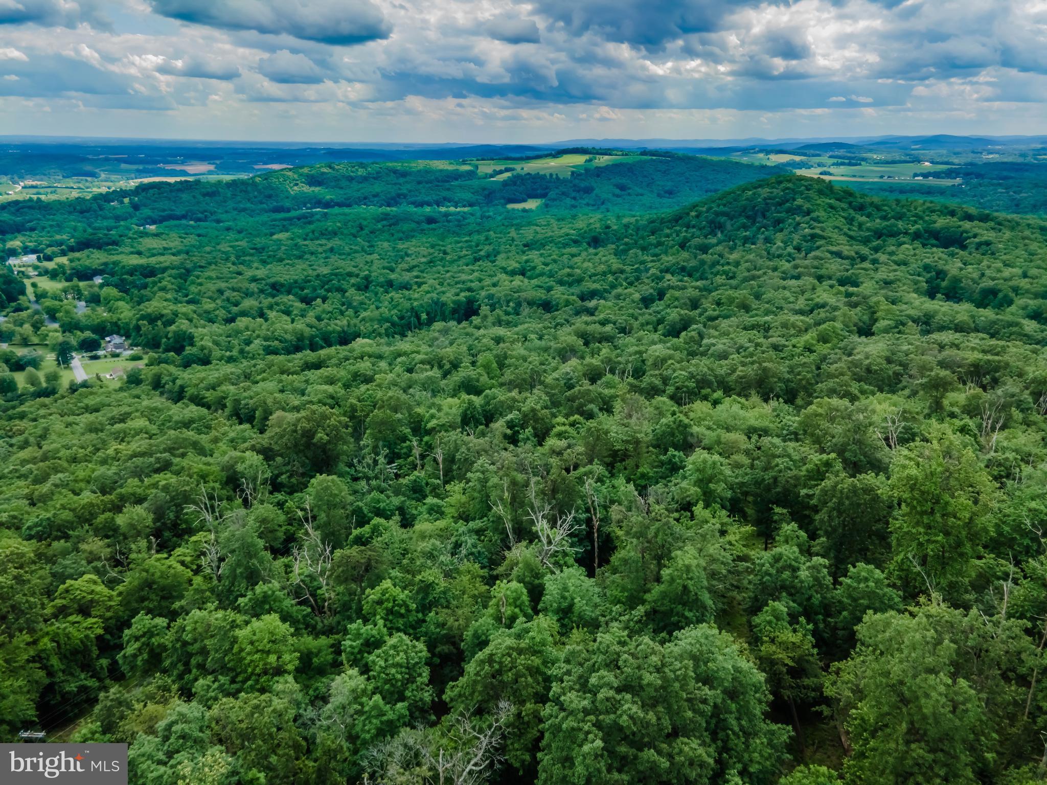 Lot 1 Whiskey Springs Road Boiling Springs, PA 17007 - Photo 12 of 21 Gallery Image 12