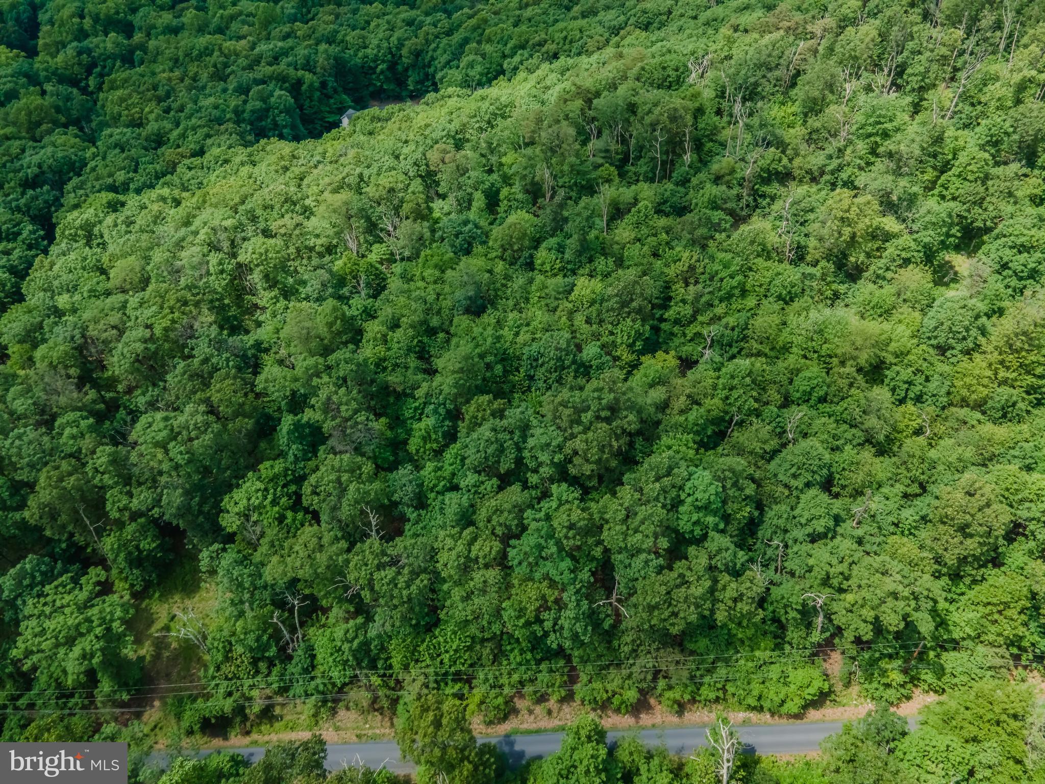 Lot 1 Whiskey Springs Road Boiling Springs, PA 17007 - Photo 13 of 21 Gallery Image 13