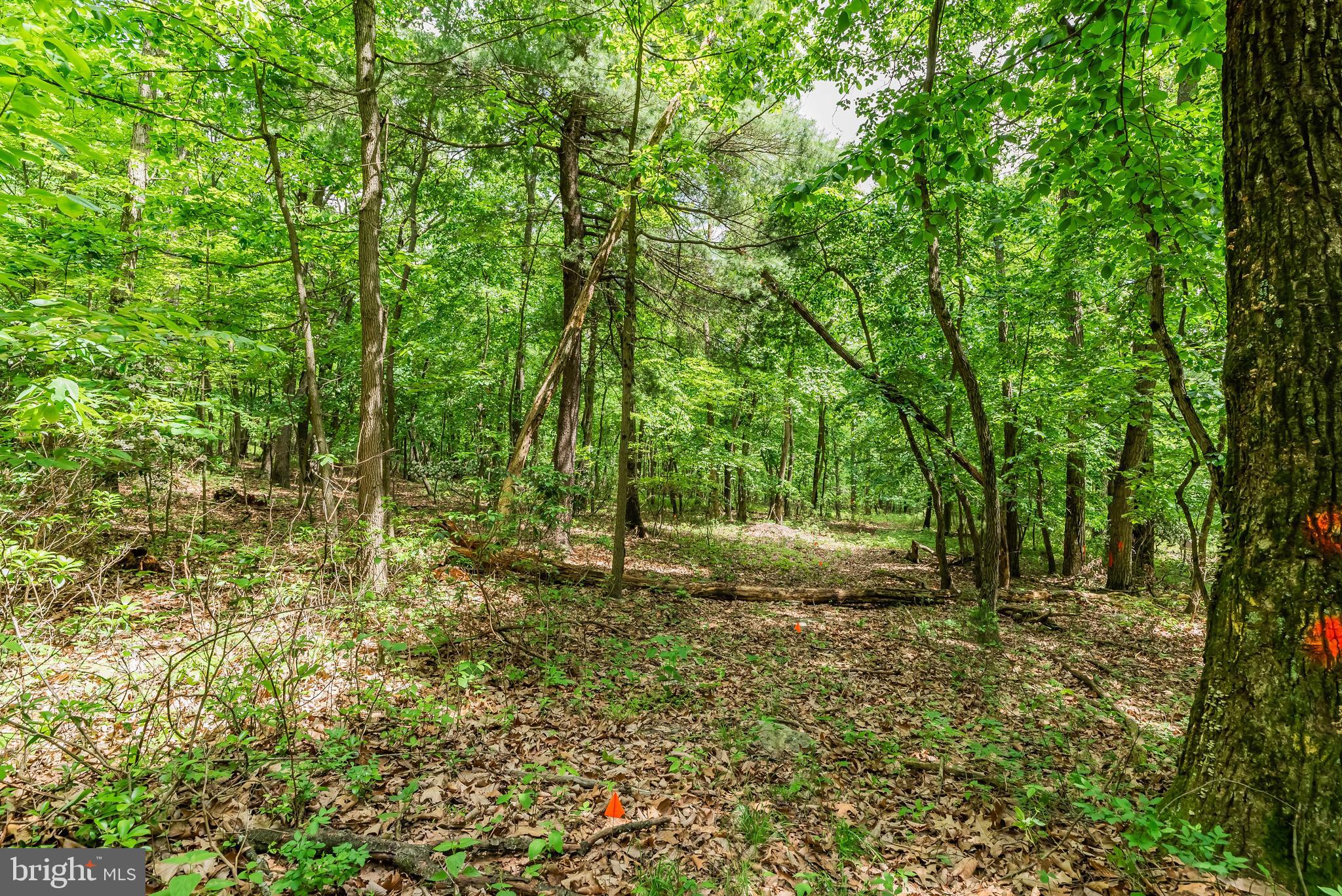 Lot 1 Whiskey Springs Road Boiling Springs, PA 17007 - Photo 15 of 21 Gallery Image 15